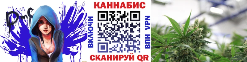 Бошки марихуана планчик  Горно-Алтайск 